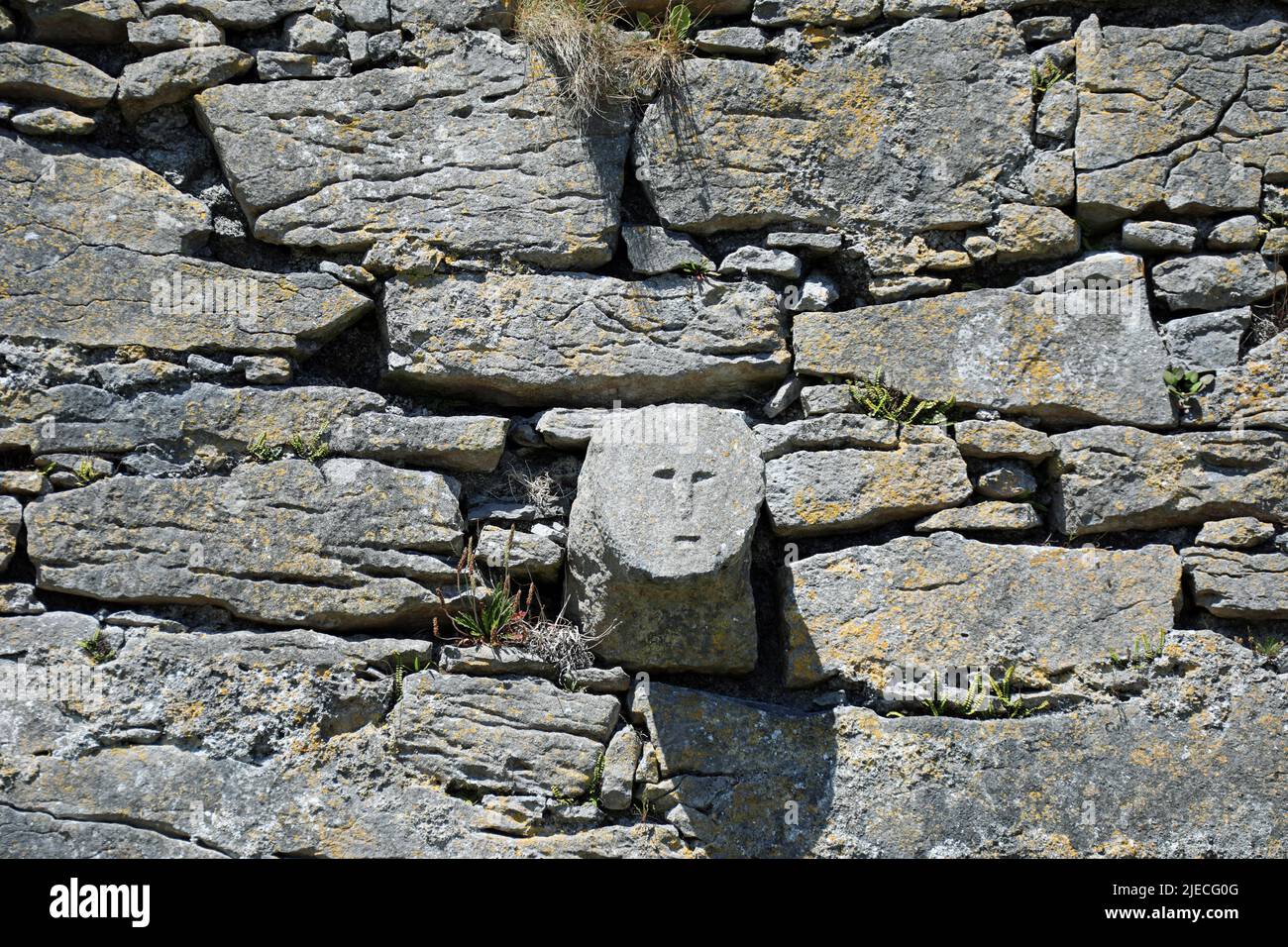 Volto umano scolpito nella pietra del Castello di o'Briens su Inis Oirr in Irlanda Foto Stock
