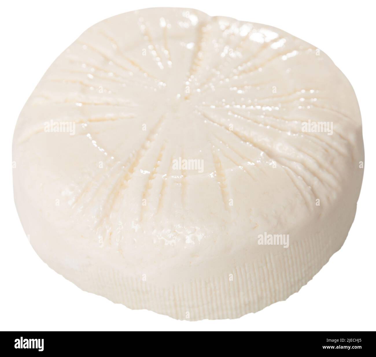 Ruota intera di formaggio di siero di latte fresco fatto in casa sul piatto Foto Stock