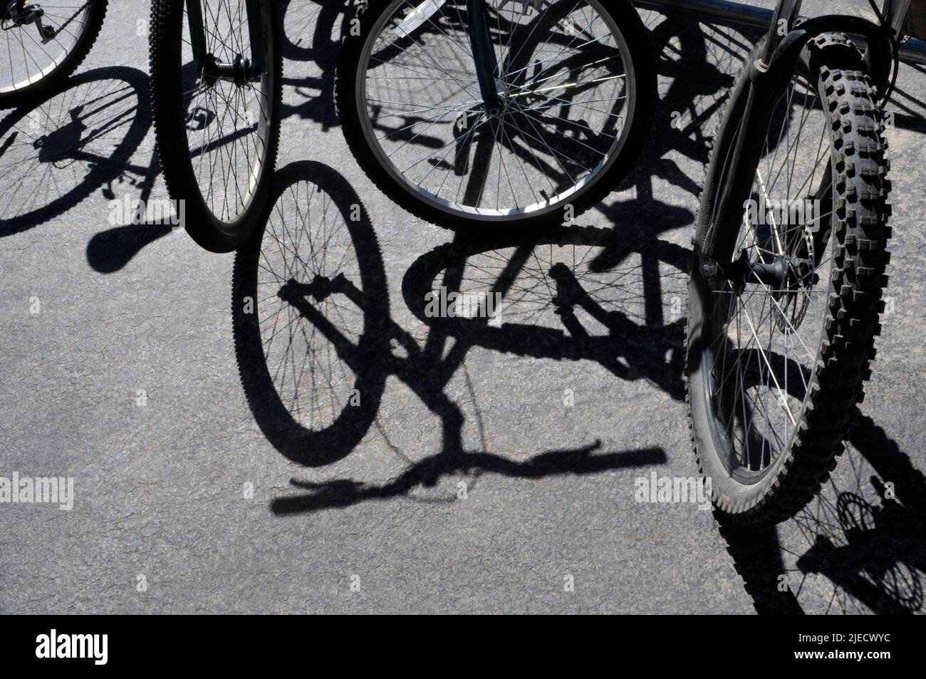 Mountain bike Foto Stock
