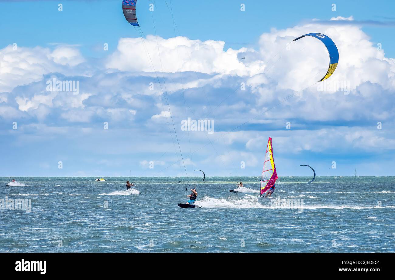 Kiteboarder o kitesurfers a Tampa Bay a St Petersburg Florida USA Foto Stock