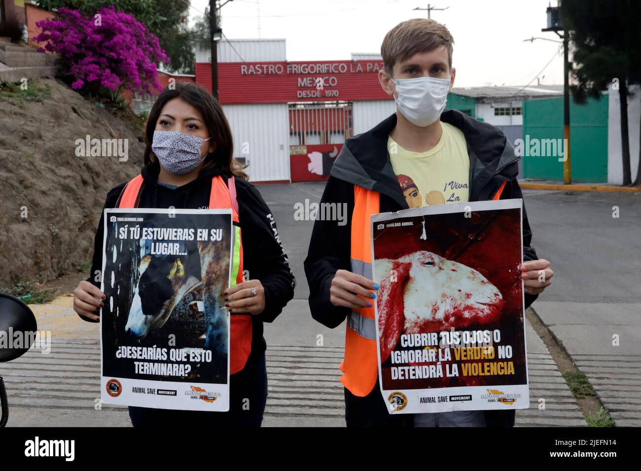 La Paz, Città del Messico, Messico. 25th giugno 2022. 25 giugno 2022, la Paz, Messico: Gli attivisti dell'organizzazione Animal Save Movement detengono una veglia per suini e tori al di fuori del macello di macellazione Rastro FrigorÃ-fico la Paz nello Stato del Messico. Il 25 giugno 2022 a la Paz, Messico. (Credit Image: © Luis Barron/eyepix via ZUMA Press Wire) Foto Stock