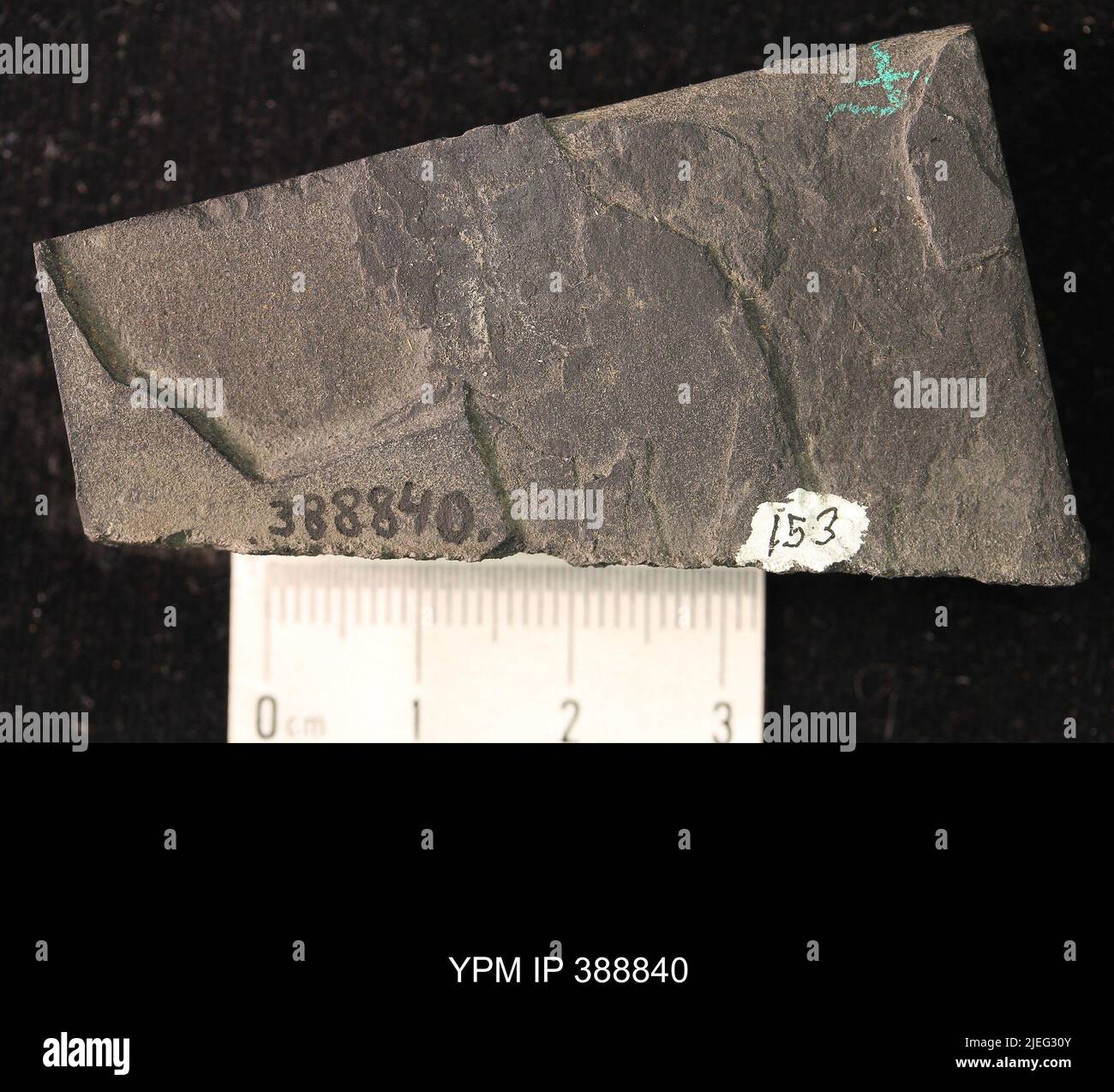 Problematica. Foto Stock