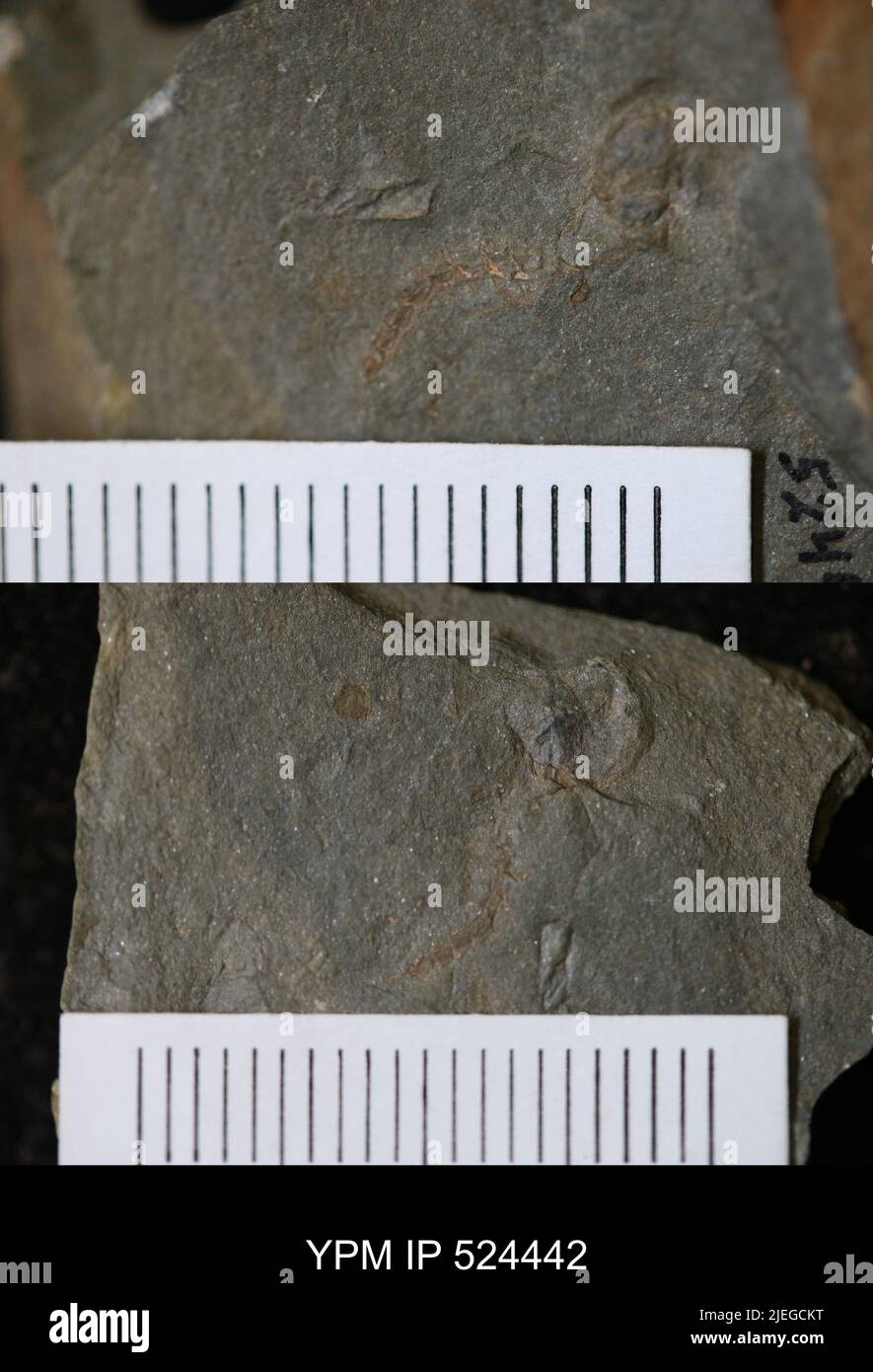 Problematica. Foto Stock