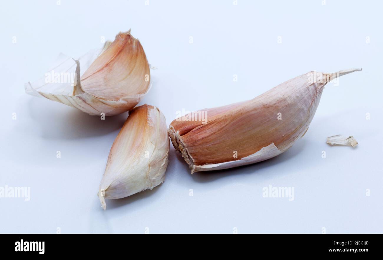 tre spicchi d'aglio su sfondo chiaro Foto Stock