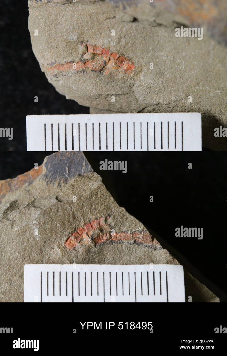 Problematica. Foto Stock