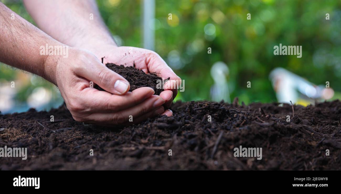 Terreno in palme maschili. Mano del coltivatore che tiene il suolo buono vista ravvicinata. Garden agricoltura opere, natura proteggere concetto, banner copia spazio. Foto Stock