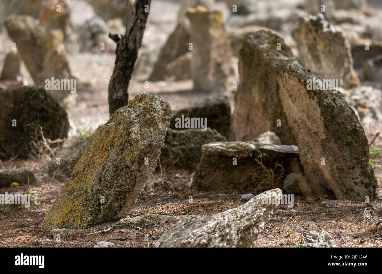 Immagine del cimitero dimenticato presa con fuoco selettivo. Foto Stock