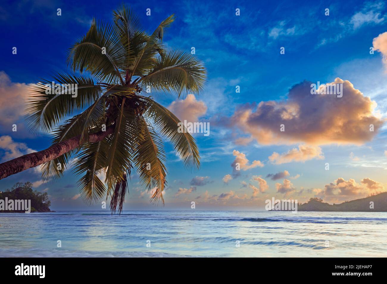 Überhängende Kokospalme bei Sonnenuntergang an der traumhaften Bucht von Baie Lazare, Insel Mahe, Westküste, Seychellen Foto Stock