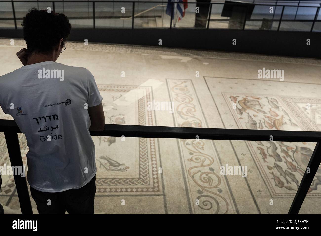 LOD, Israele. 27th giugno 2022. L'autorità israeliana delle Antichità inaugura il Centro Archeologico Mosaico Shelby White e Leon Levy Lod. L'obiettivo del centro è quello di mostrare un mosaico di 1.710 piedi quadrati, di epoca romana (dal 3rd al 4th secolo CE) che serviva come pavimento di una villa di soggiorno in un ricco complesso residenziale a Lod. Credit: NIR Alon/Alamy Live News Foto Stock
