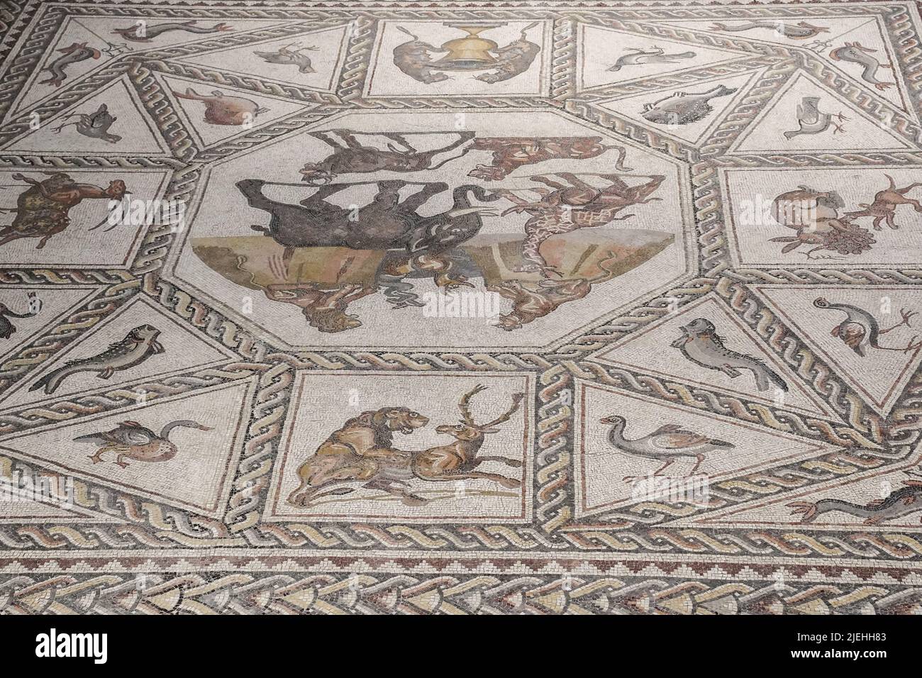 LOD, Israele. 27th giugno 2022. L'autorità israeliana delle Antichità inaugura il Centro Archeologico Mosaico Shelby White e Leon Levy Lod. L'obiettivo del centro è quello di mostrare un mosaico di 1.710 piedi quadrati, di epoca romana (dal 3rd al 4th secolo CE) che serviva come pavimento di una villa di soggiorno in un ricco complesso residenziale a Lod. Credit: NIR Alon/Alamy Live News Foto Stock