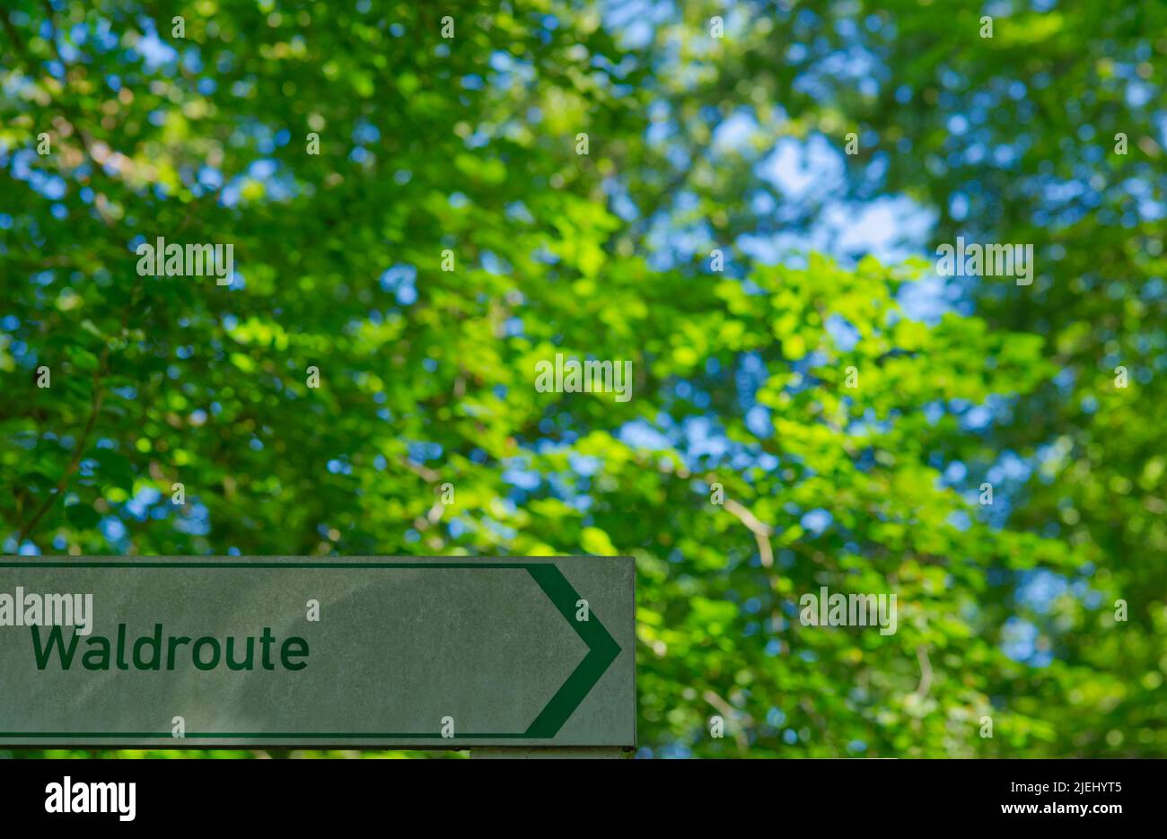 Cartello con scritto 'Waldroute' (tedesco per 'percorso verso la foresta') in basso a sinistra e foglie verdi Foto Stock