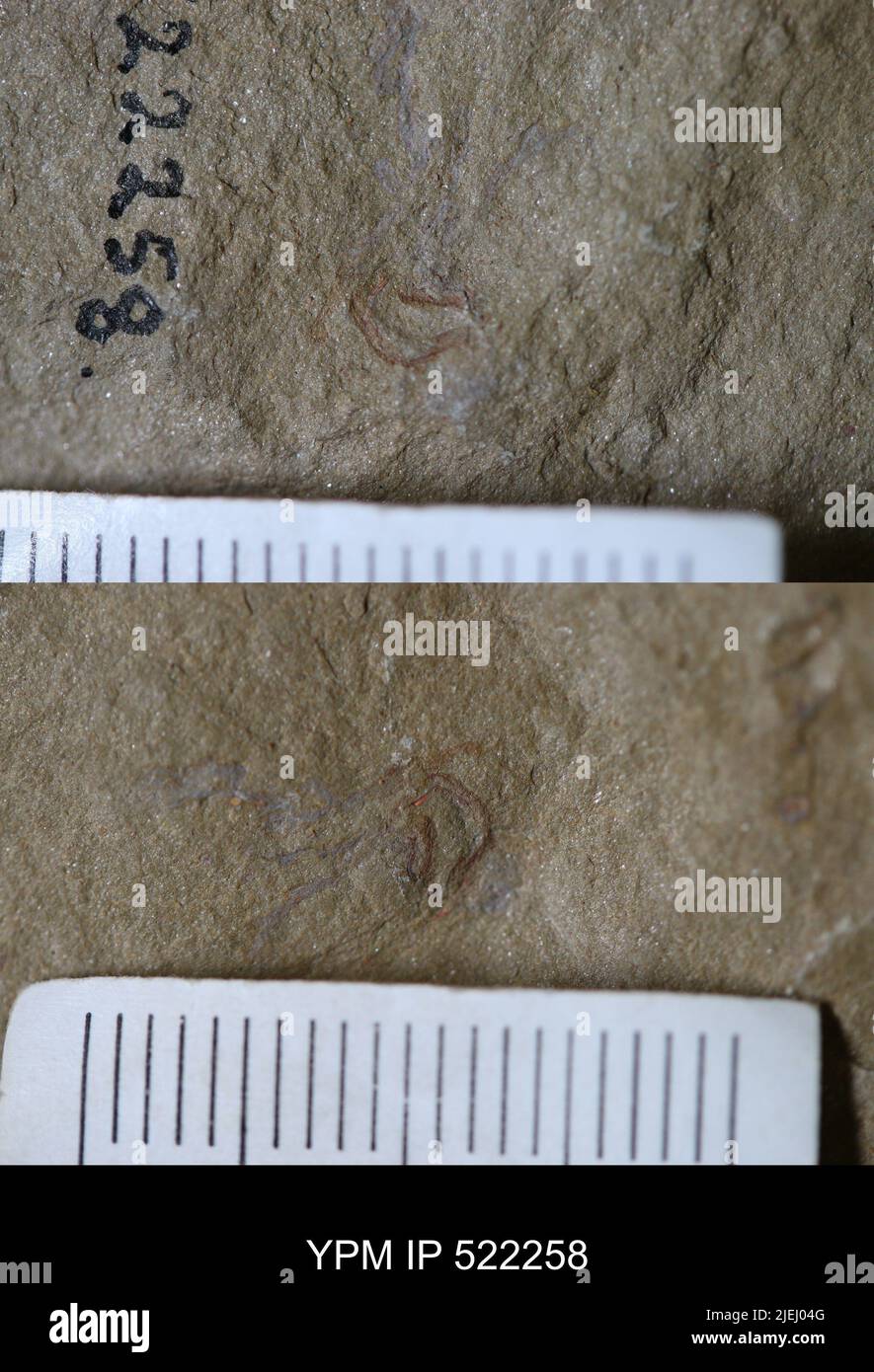 Problematica. Foto Stock