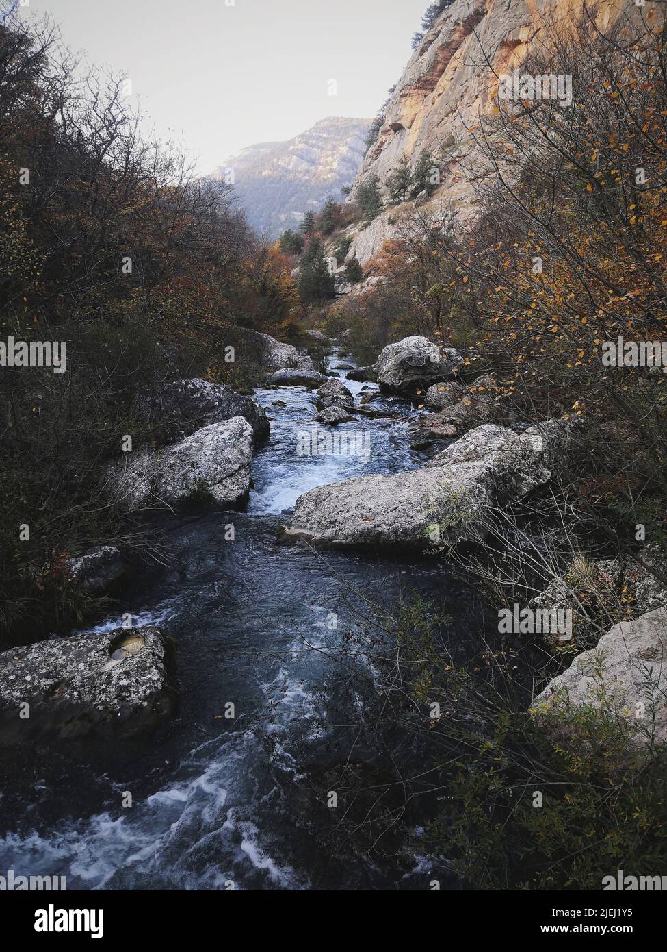 Ruscello di montagna in paesaggio di foresta in primavera.Foresta Crimea paesaggio Foto Stock