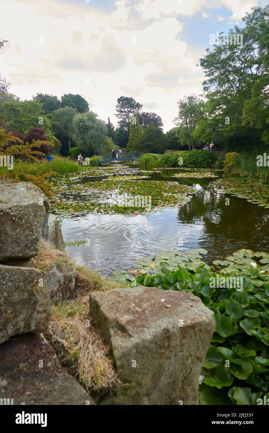 Eccezionale rockery alpina a Burnby Hall Gardens in East Yorkshire, Inghilterra, Regno Unito, GB. Foto Stock