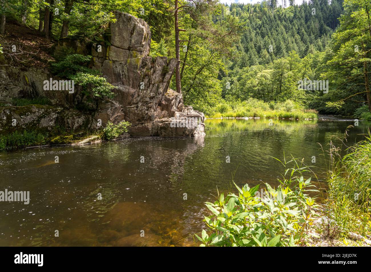 Landschaft am Fluss Murg, Murgtal, Schwarzwald, Baden-Württemberg, Deutschland | Murg paesaggio fluviale, Murg valle, Foresta Nera, Baden-Württemberg, Foto Stock
