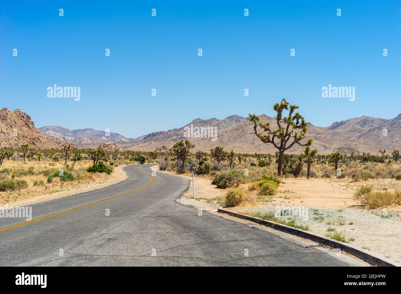 Joshua Tree National Park, California. Strada che attraversa il parco con sabbia, colline/montagne e alberi di Giosuè su entrambi i lati. California, California, USA Foto Stock