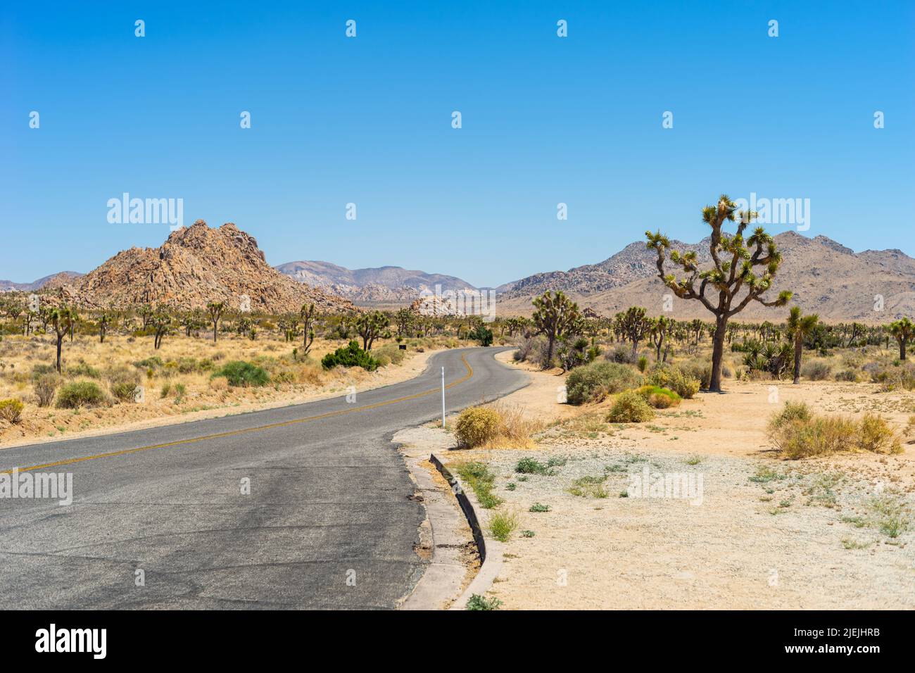 Joshua Tree National Park, California. Strada che attraversa il parco con sabbia, colline/montagne e alberi di Giosuè su entrambi i lati. California, California, USA Foto Stock