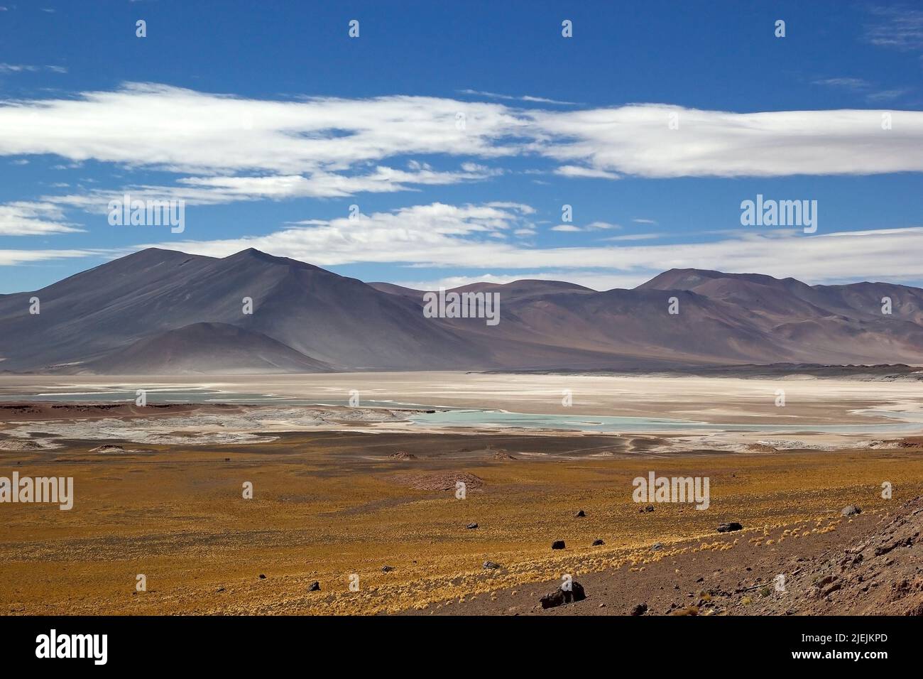 Laguna verde, laguna verde, nel deserto di Atacama, Cile. Foto Stock