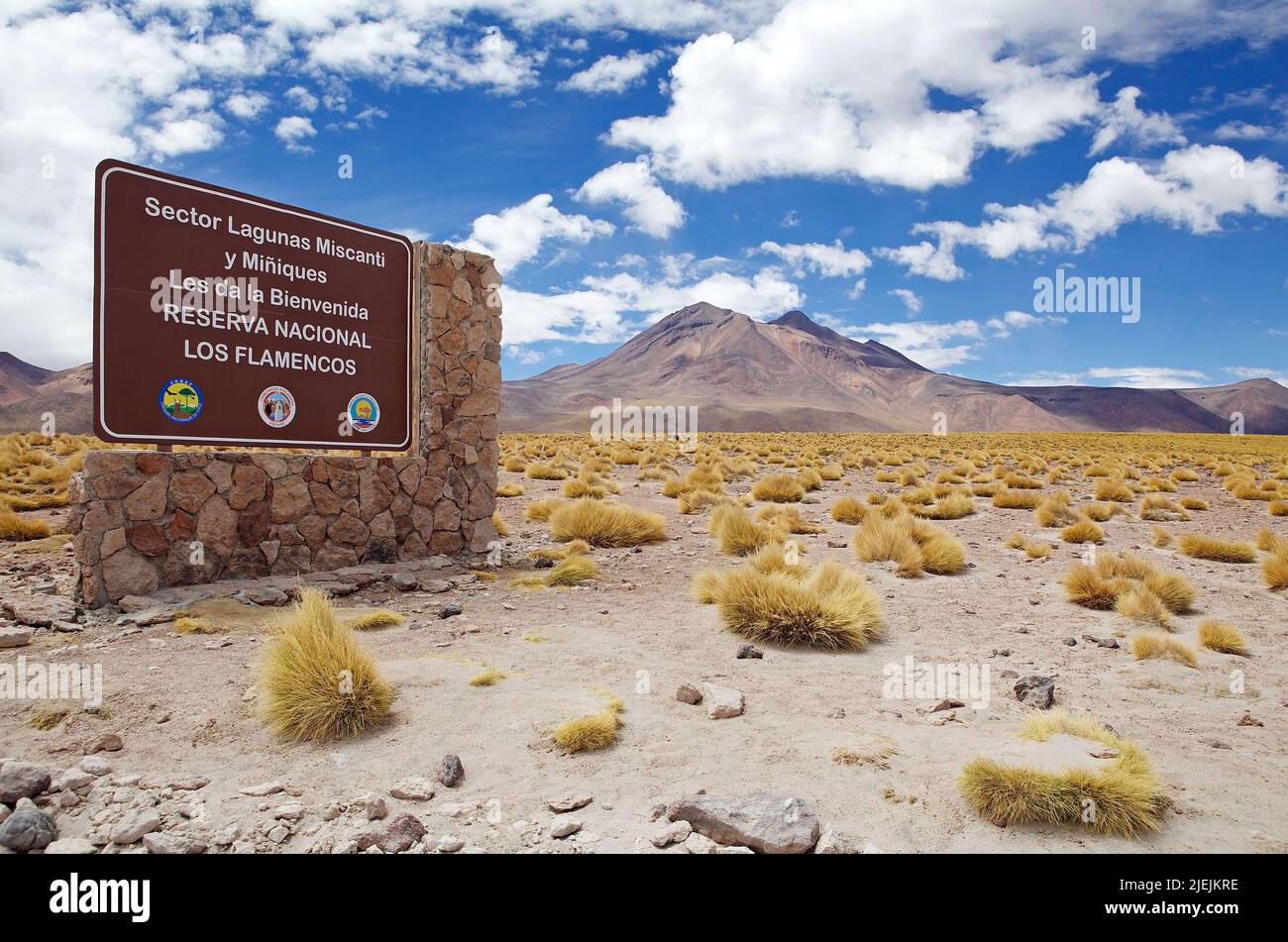 La Laguna di Miscanti e Miniques è un lago d'acqua salmastra situato a 4000 metri sopra il livello del mare nella regione di Antofagasta nel Cile settentrionale, circa 100 K. Foto Stock