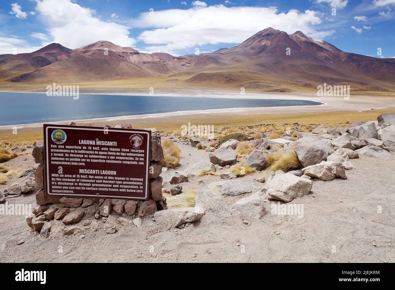 Paesaggio lagunare di Miscanti, cile. La Laguna di Miscanti è un lago d'acqua salmastra situato a 4000 metri sopra il livello del mare nella regione di Antofagasta in nort Foto Stock