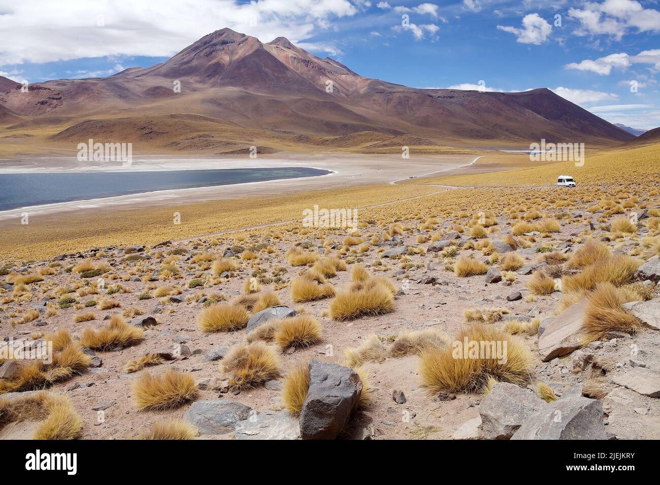 La Laguna di Miscanti è un lago d'acqua salmastra situato a 4000 metri sopra il livello del mare nella regione di Antofagasta nel Cile settentrionale, a circa 100 km da San Foto Stock