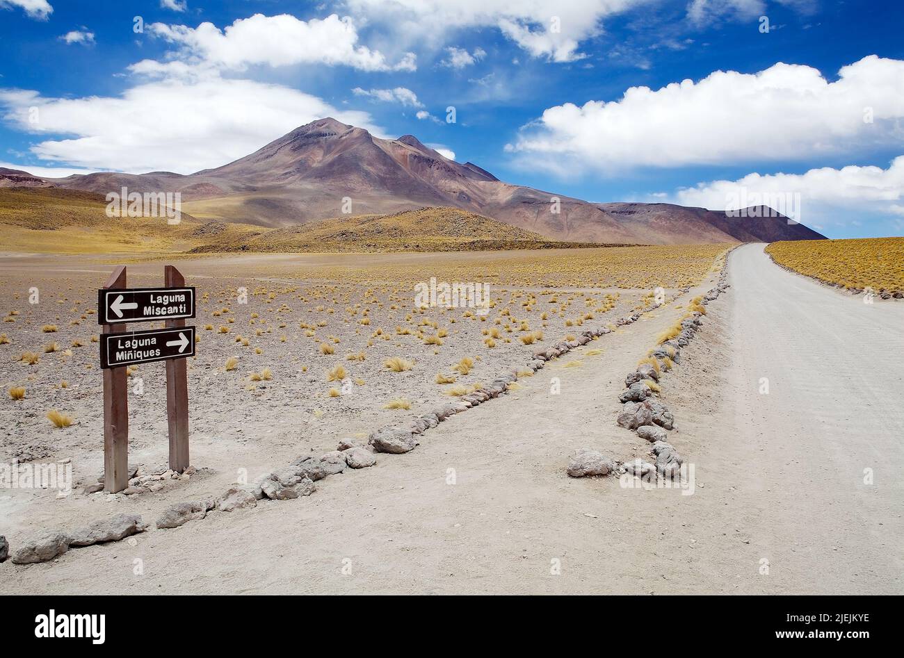 Il sentiero e la strada dalla laguna di Miscanti alla laguna di Miniques con il vulcano sullo sfondo nel deserto di Atacama, Cile. Miscanti e Miniques l Foto Stock