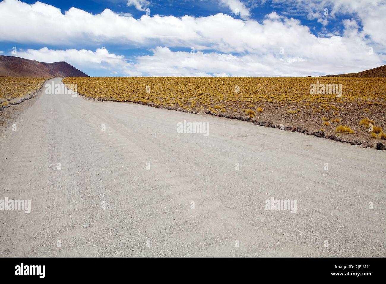La strada dalla laguna di Miscanti alla laguna di Miniques nel deserto di Atacama, Cile. Le lagune di Miscanti e Miniques sono laghi salmastri situati nel 40 Foto Stock