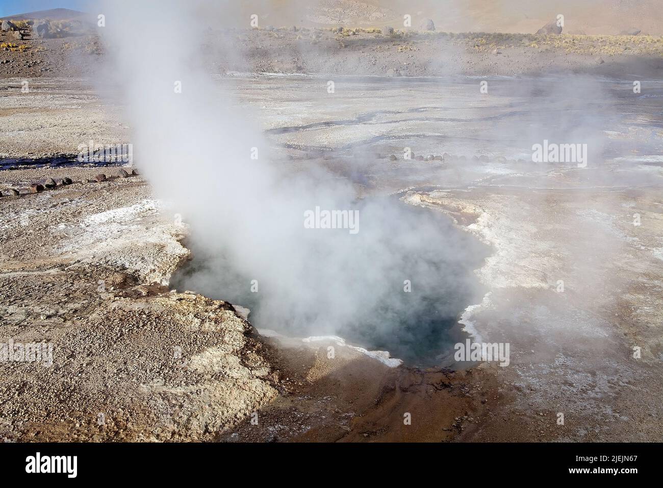 El Tatio geyser, Cile. El Tatio è un campo geyser situato nel nord del Cile. È il più grande campo geyser dell'emisfero meridionale e il campo di geyser t Foto Stock