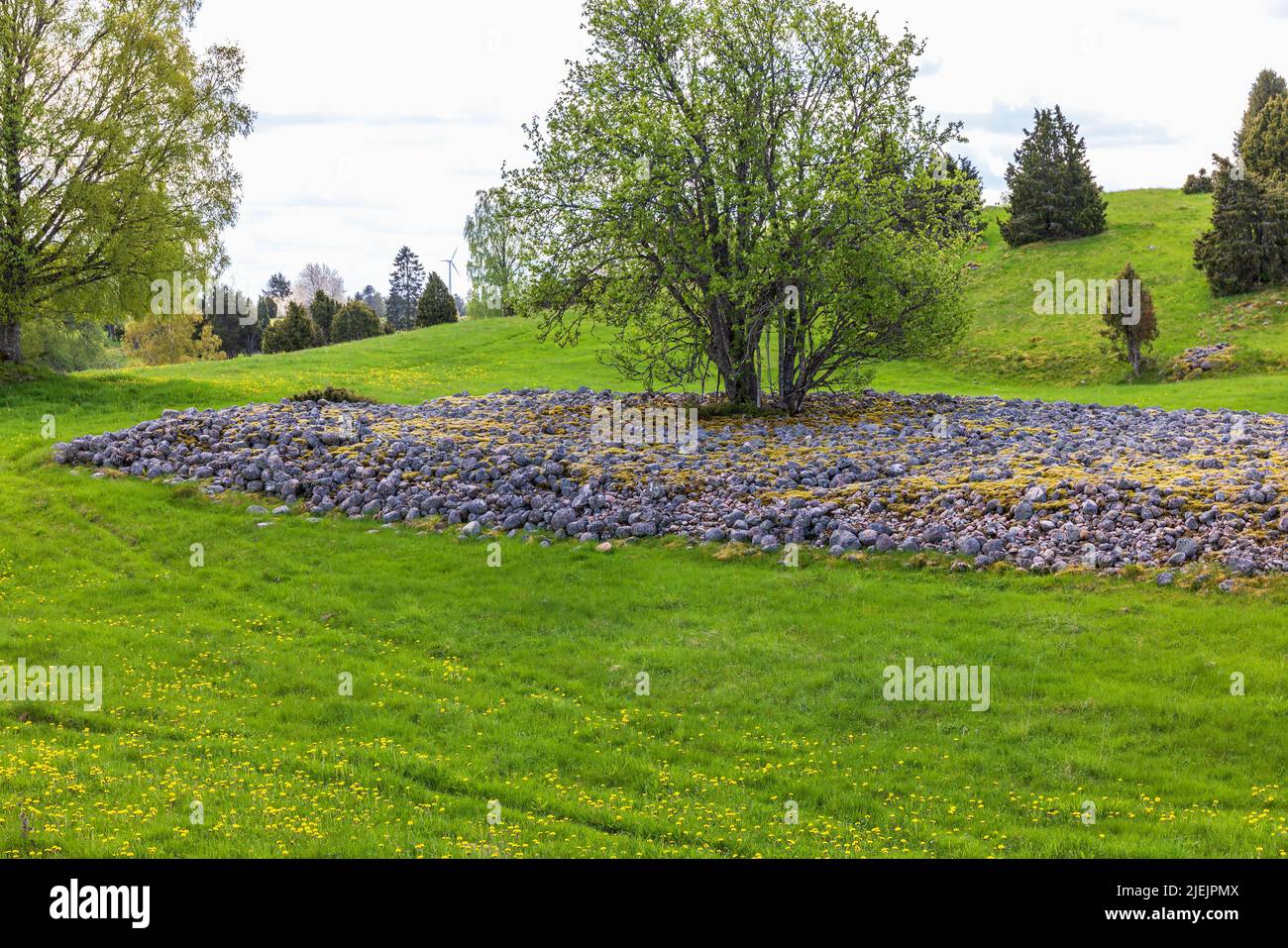 Cairn di sasso di clearance su un prato Foto Stock