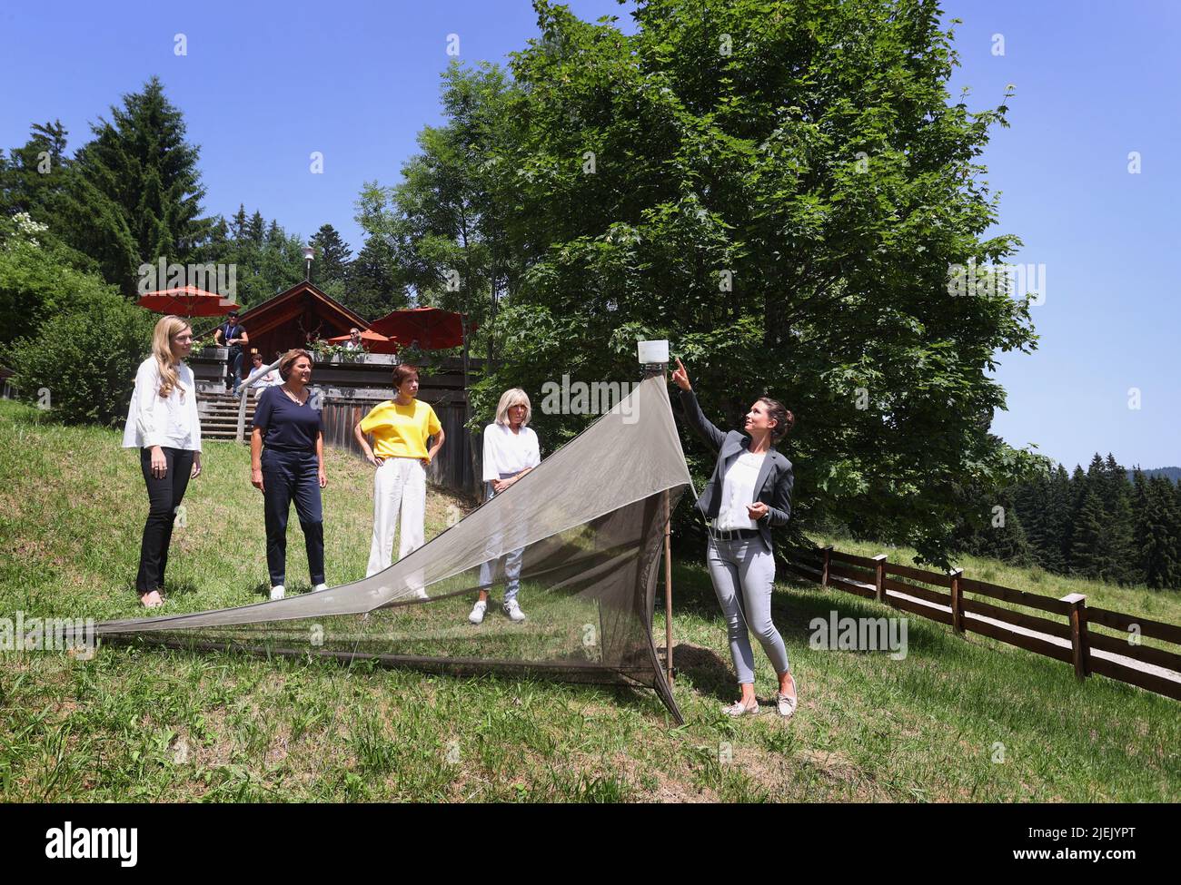 Elmau, Germania. 27th giugno 2022. Veronika Hierlmeier del Bavarian Species Conservation Centre, dimostra una trappola per insetti presso la capanna Elmauer Alm, Carrie Johnson, moglie del primo ministro britannico Boris Johnson (l-r), Britta Ernst, moglie del cancelliere tedesco OLAF Scholz (SPD), Amelie Derbaudrenghien, partner del presidente del Consiglio dell'UE Charles Michel e Brigitte Macron, Moglie del presidente francese Emmanuel Macron. Credit: Karl-Josef Hildenbrand/dpa/Alamy Live News Foto Stock