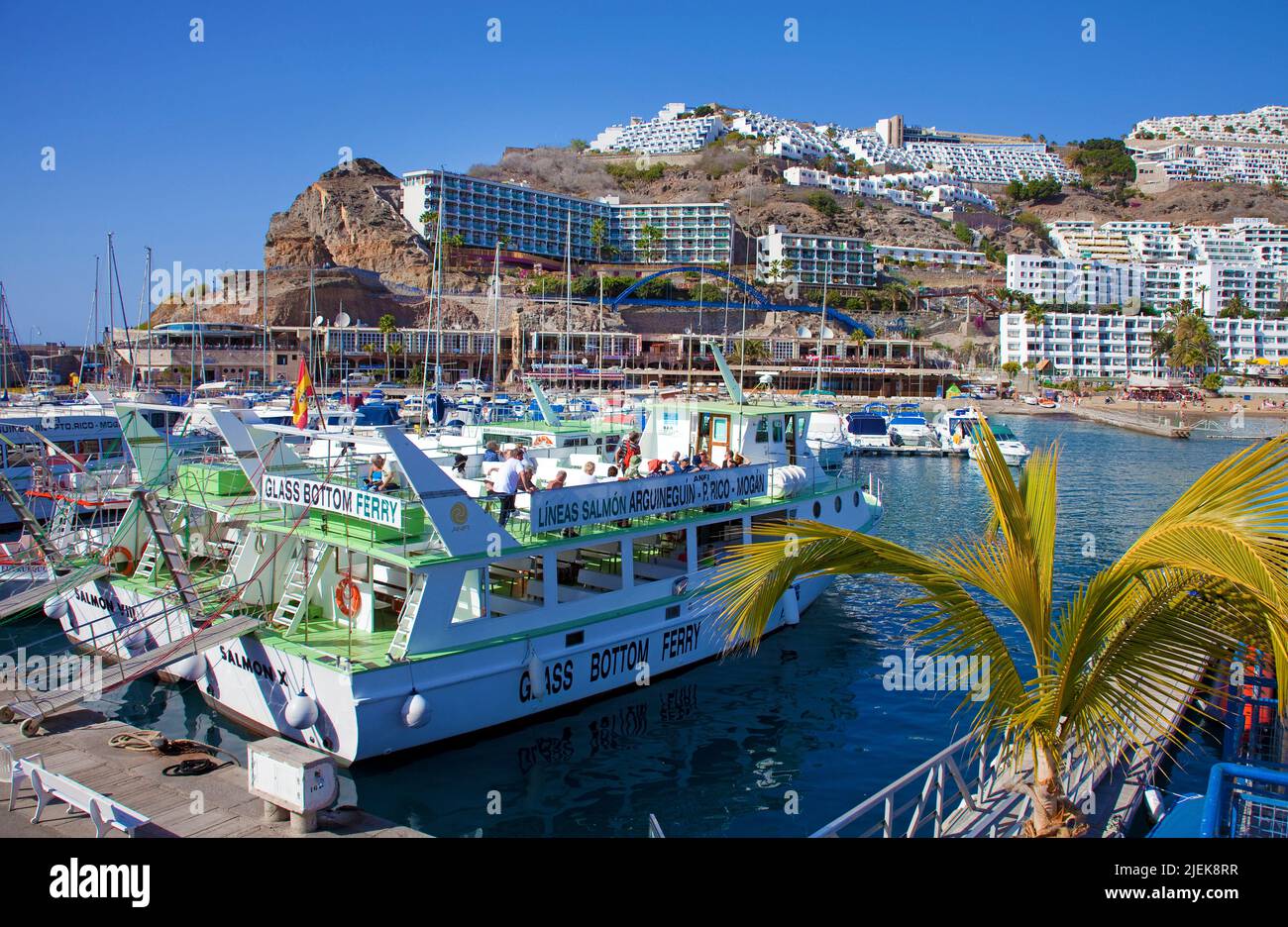 Barca turistica nel porto di Porto Rico, Grand Canary, Isole Canarie, Spagna, Europa Foto Stock