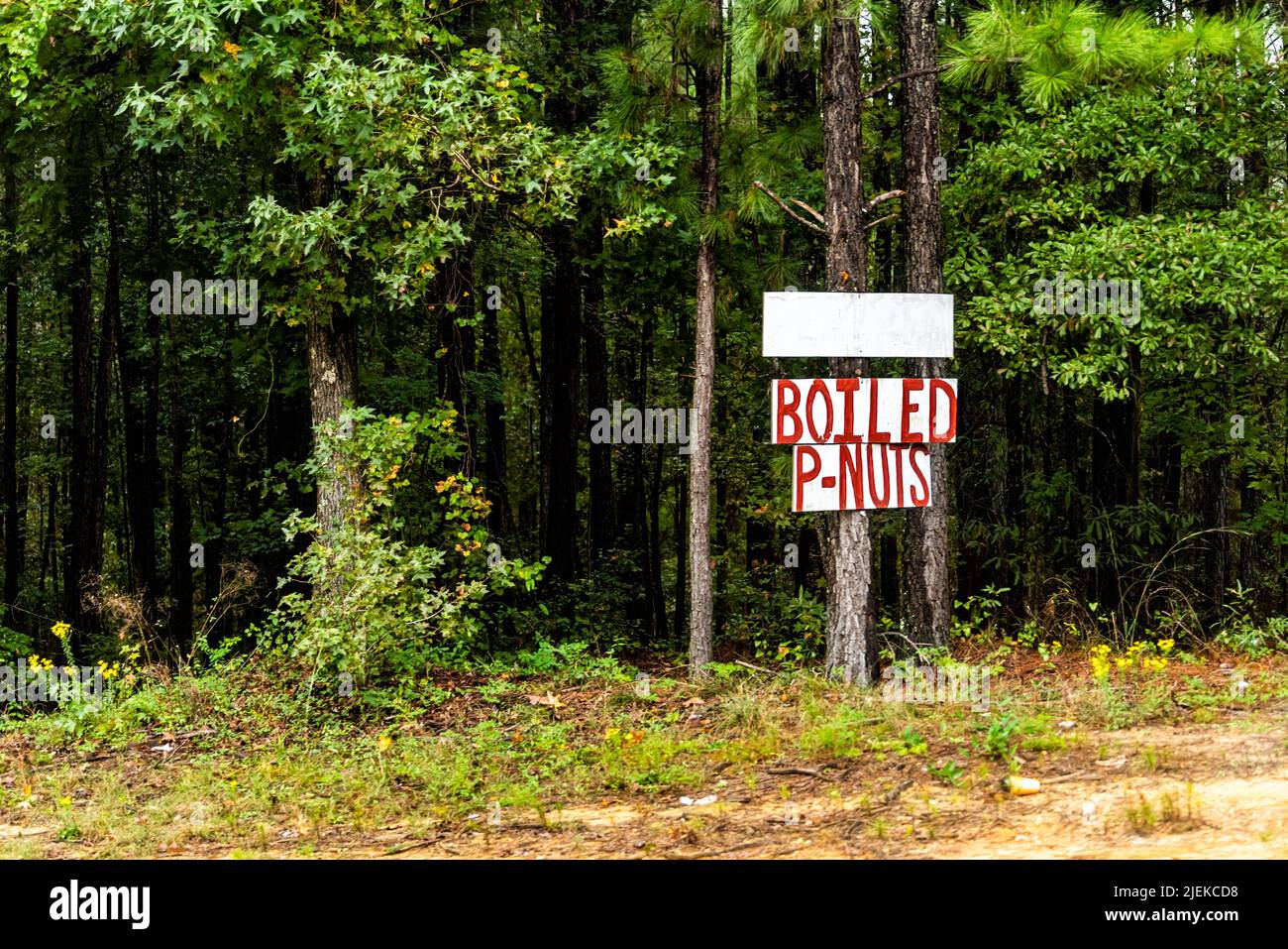 Accedi a Eatonton, Georgia per le arachidi P-Nut bollite scritte a mano in rosso sul cartello da alberi di foresta come pubblicità alimentare locale Foto Stock