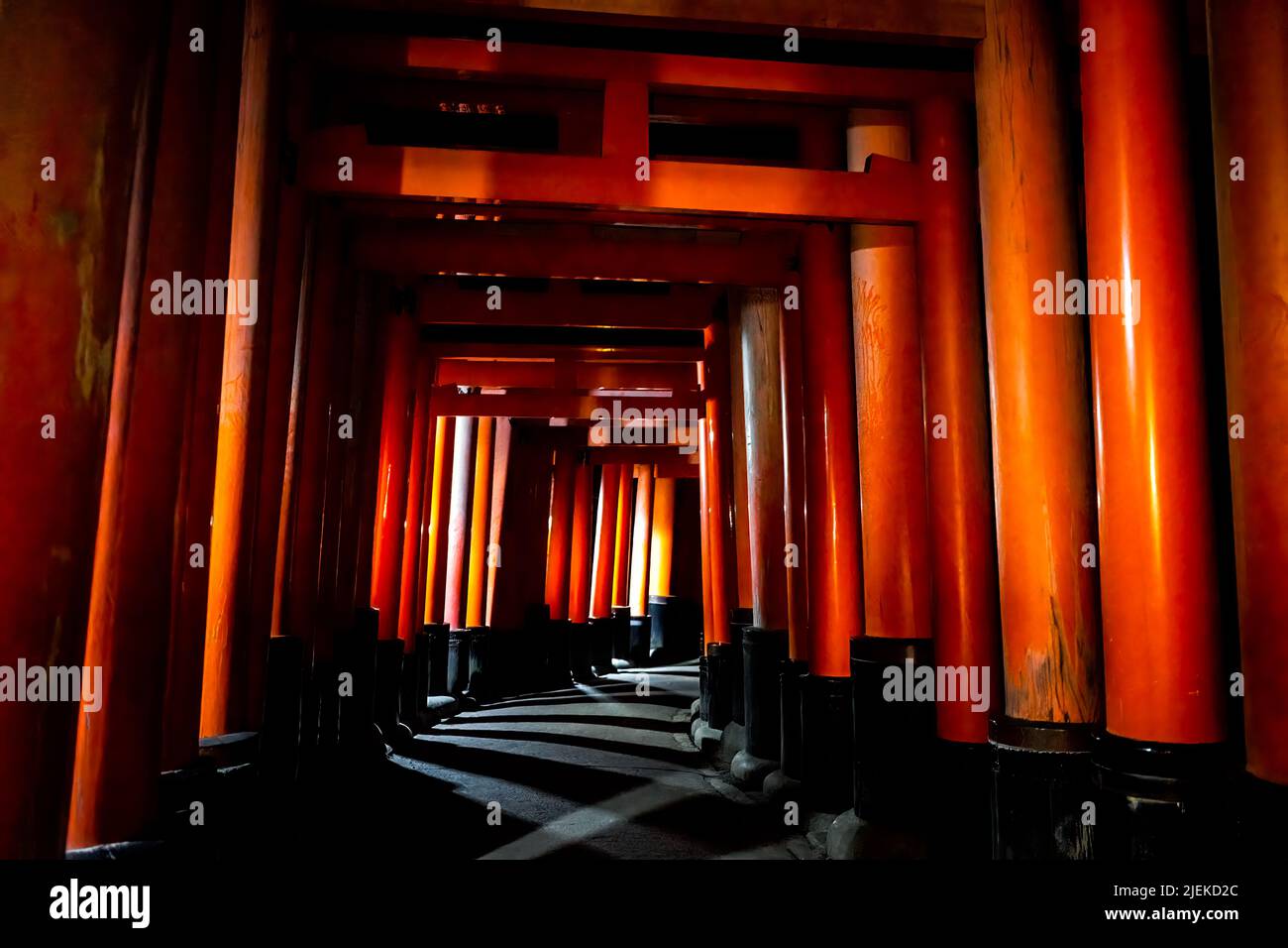 Kyoto, Giappone vermillion di colore Fushimi Inari santuario torii porte nel parco di notte con motivi neri e rossi e lanterne di illuminazione sul sentiero Foto Stock