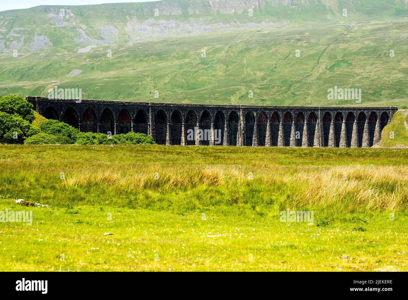 La stazione di Ribblehead e' ad appena una breve distanza a piedi dal famoso viadotto di Ribblehead. Foto Stock