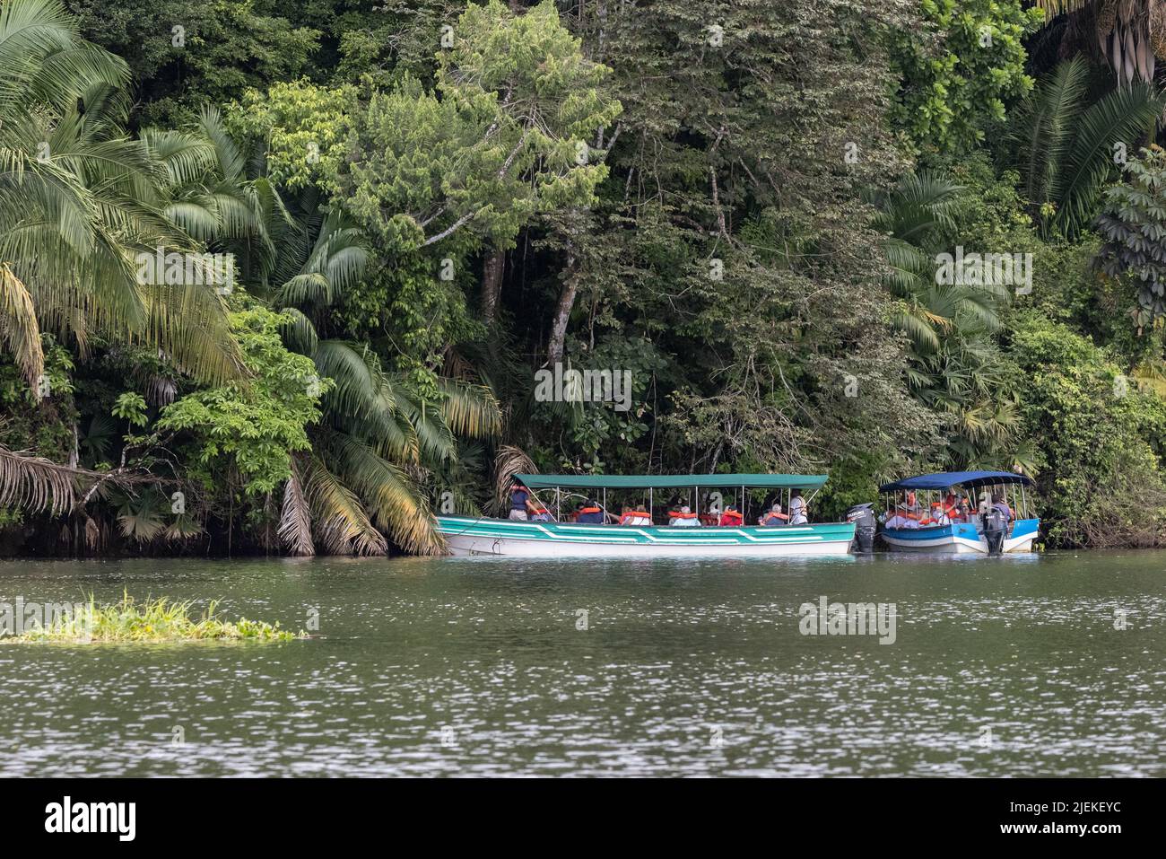 Navi da spedizione con turisti sul lago Gatun, Panama. Foto Stock