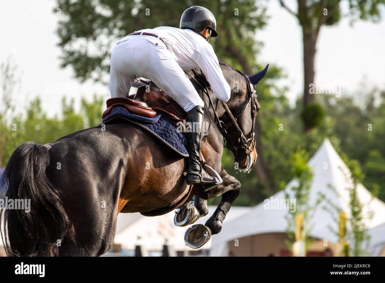 Horse Jumping, Equestrian Sports, Show Jumping fotografia a tema Foto Stock