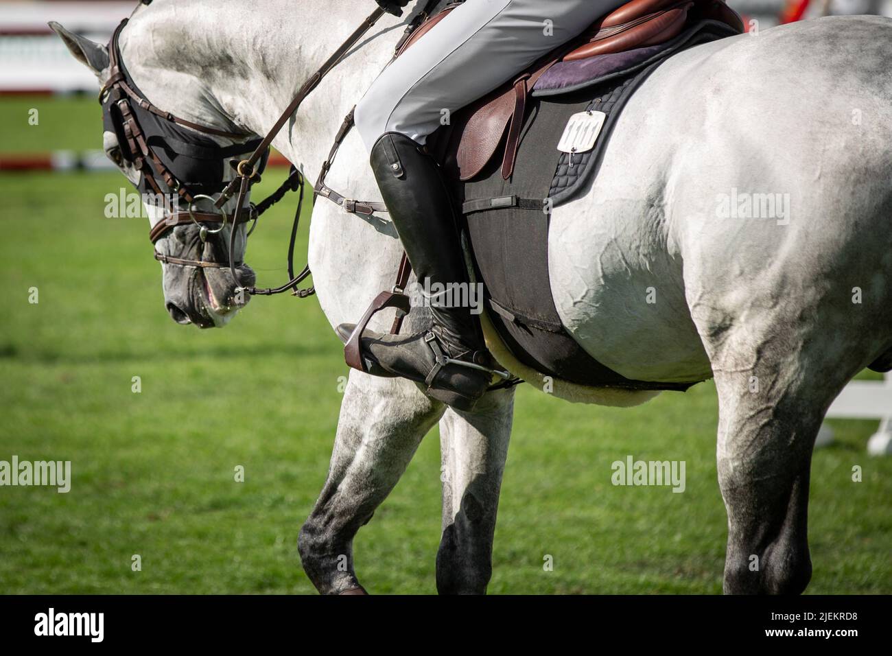 Horse Jumping, Equestrian Sports, Show Jumping fotografia a tema Foto Stock