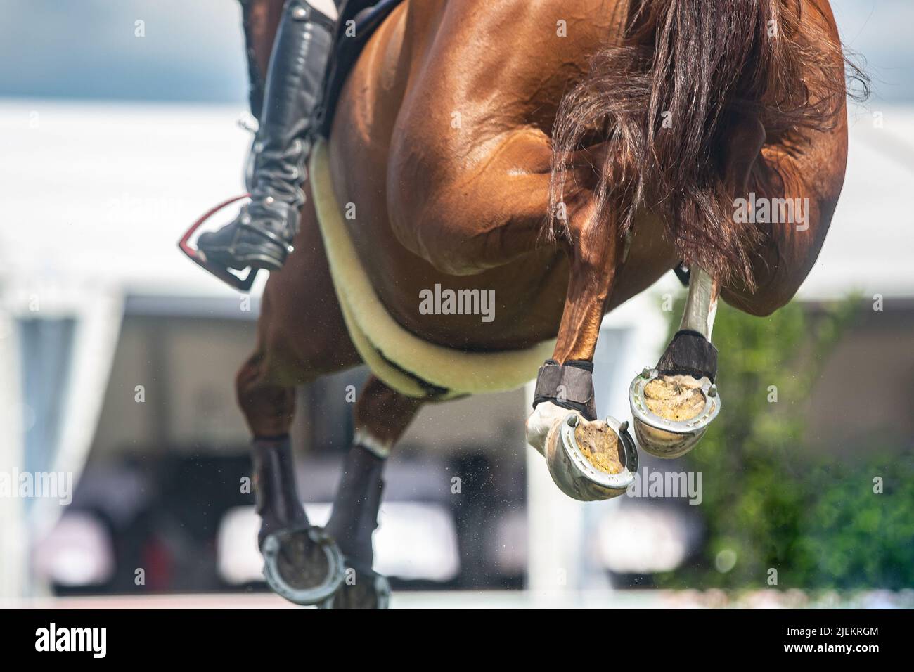Horse Jumping, Equestrian Sports, Show Jumping fotografia a tema Foto Stock
