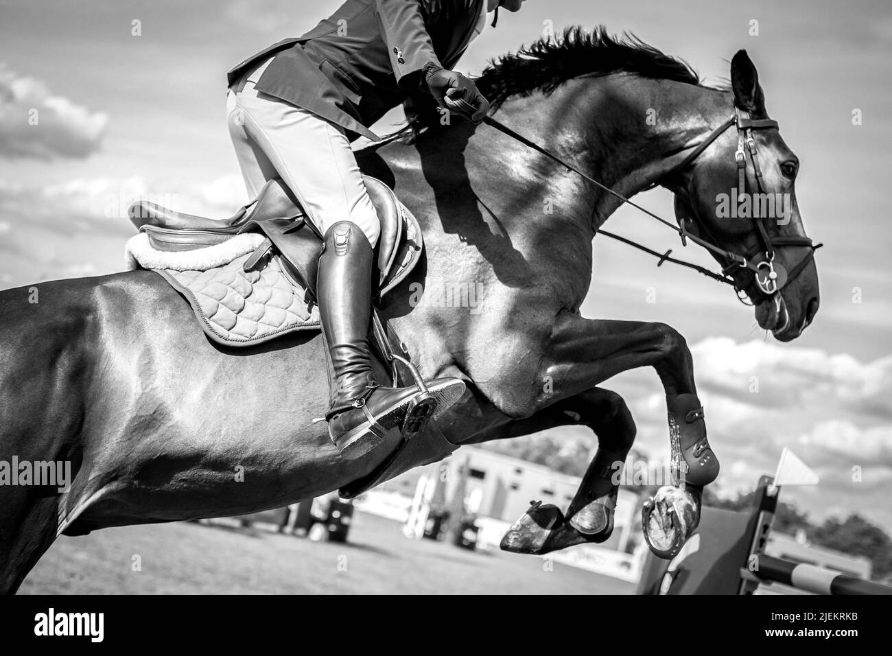 Horse Jumping, Equestrian Sports, Show Jumping fotografia a tema Foto Stock