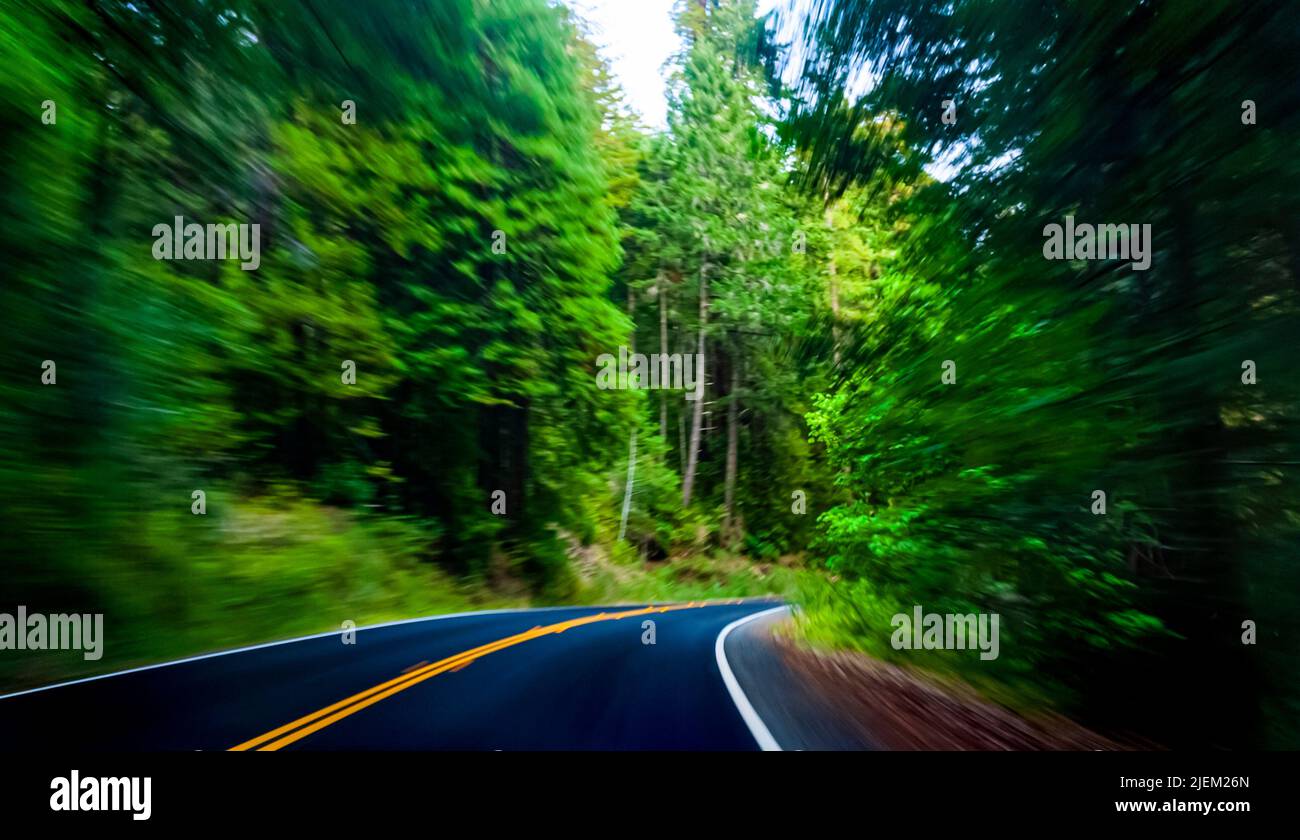 Accelerando su una strada in una bella foresta Foto Stock