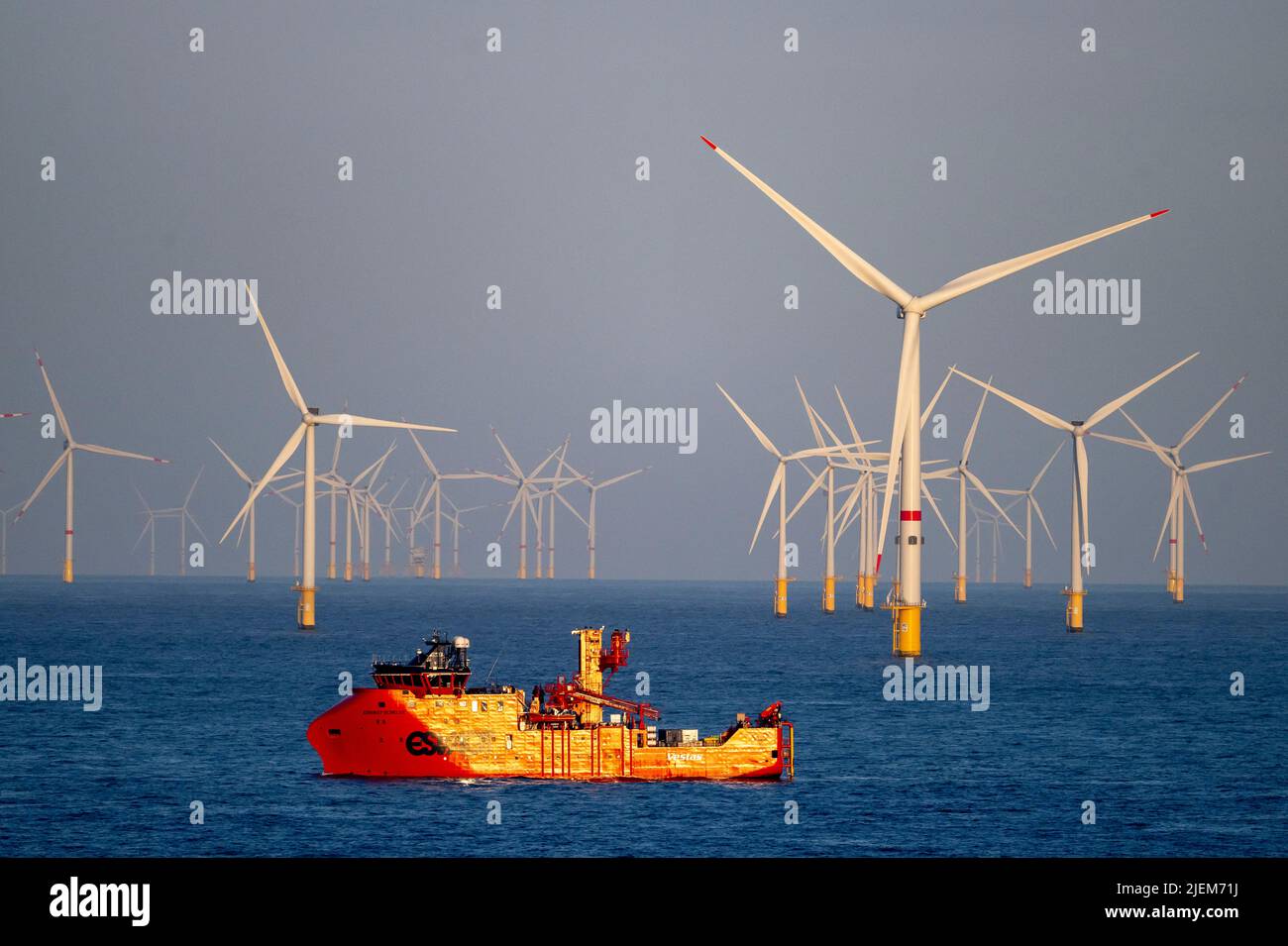 Turbine eoliche in un'azienda eolica offshore al largo delle coste di Amsterdam. Foto Stock