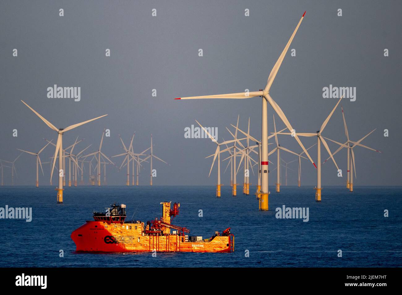 Turbine eoliche in un'azienda eolica offshore al largo delle coste di Amsterdam. Foto Stock