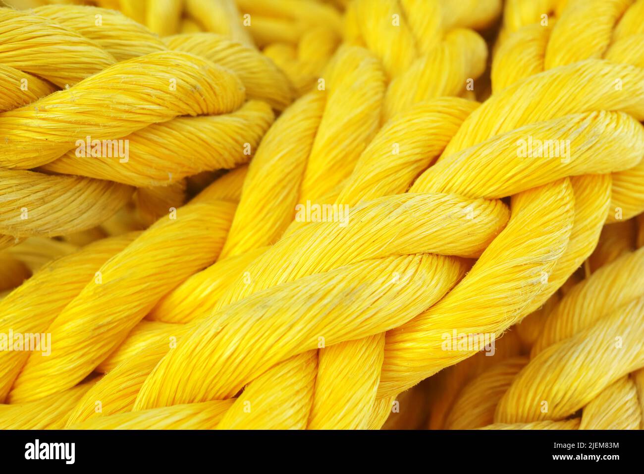 Primo piano di una corda gialla forte e colorata. Nuove funi marine per impieghi pesanti su una nave a vela. Macro di corda sintetica di colore giallo brillante. Trama di Foto Stock