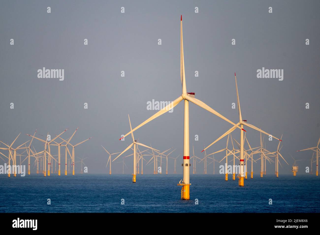 Turbine eoliche in un'azienda eolica offshore al largo delle coste di Amsterdam. Foto Stock