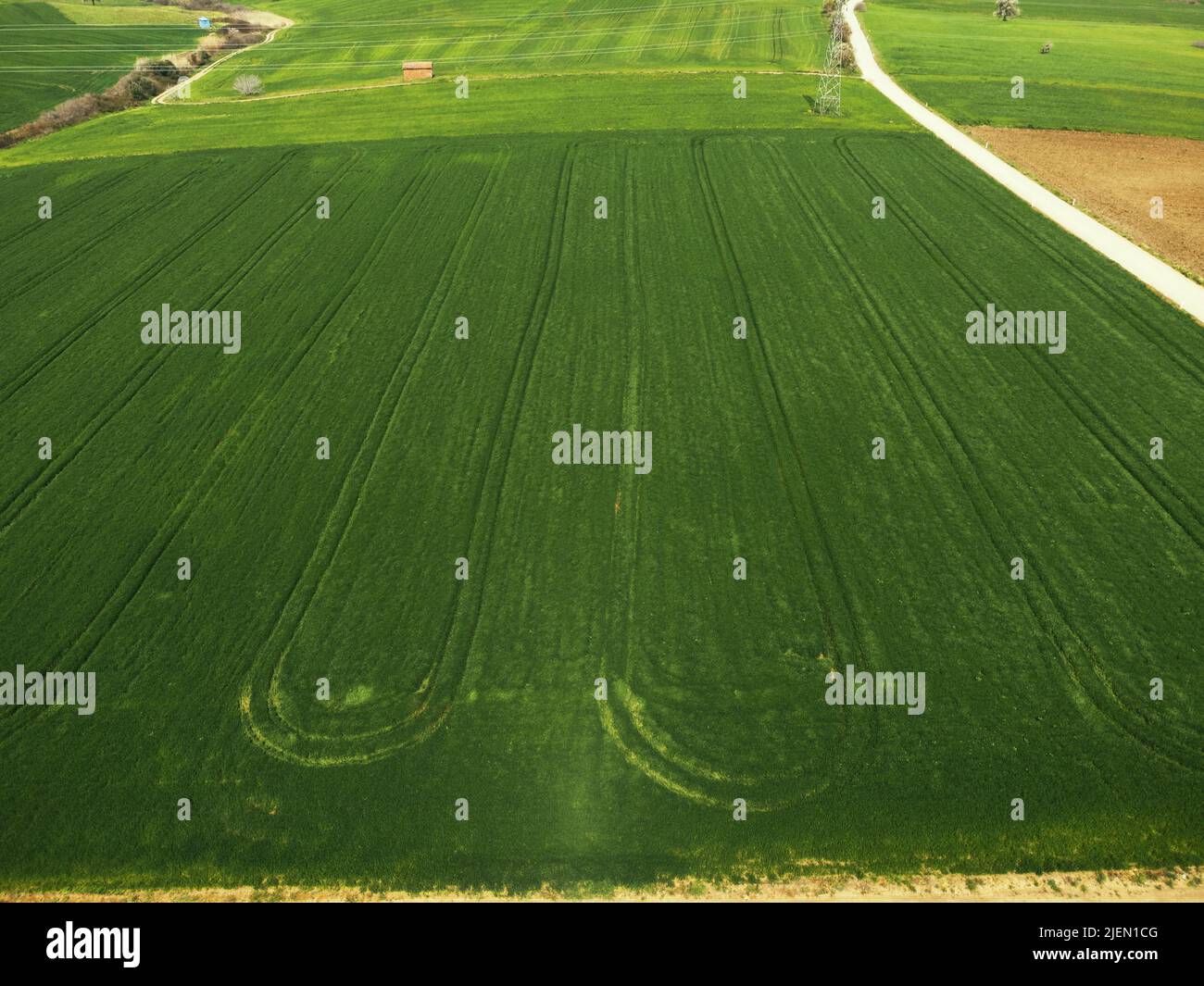 Vista aerea di un campo agricolo con percorsi di un trattore. Foto Stock