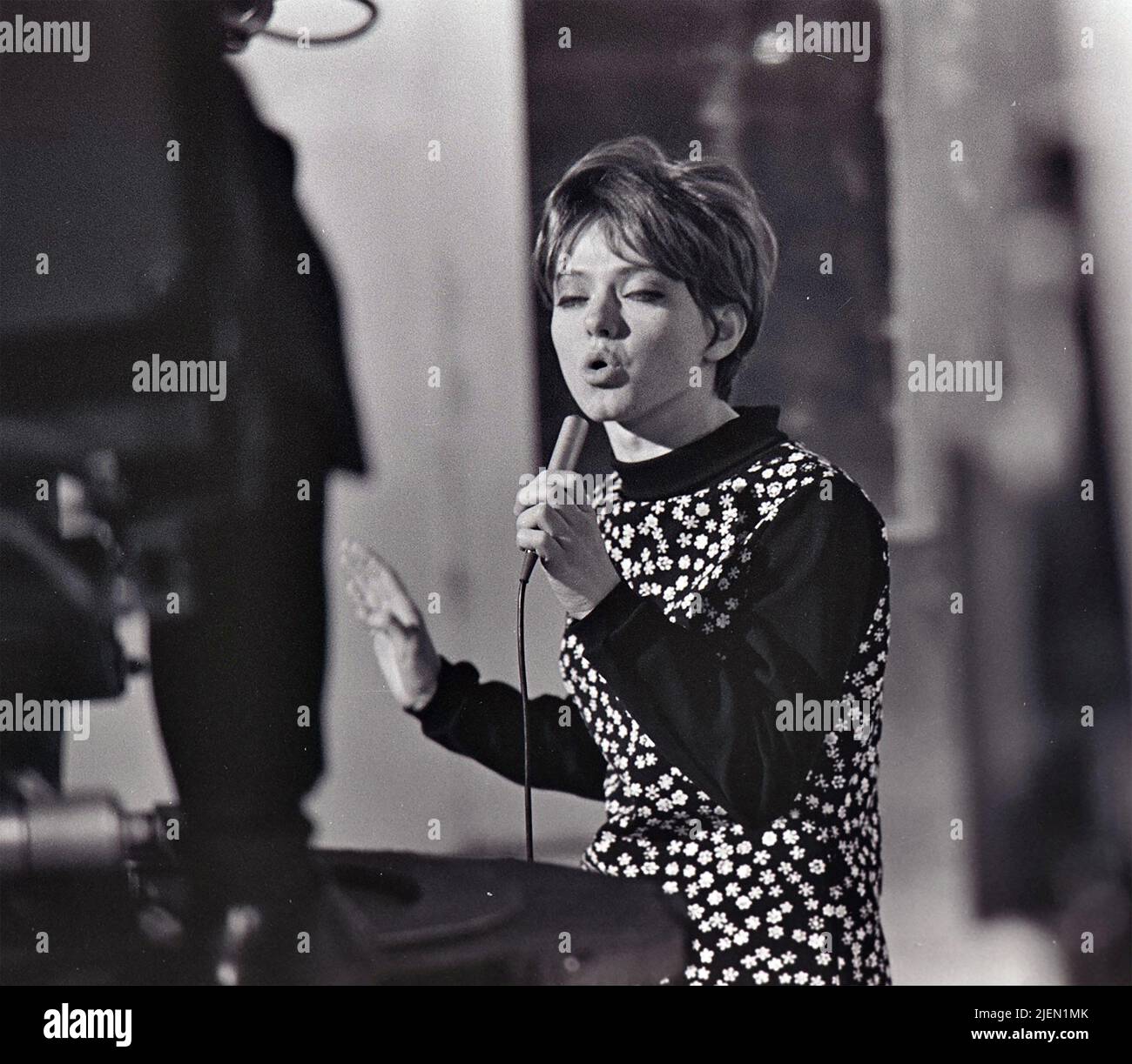 RITA PAVONE cantante italiano nel marzo 1967 Foto: Tony Gale Foto Stock