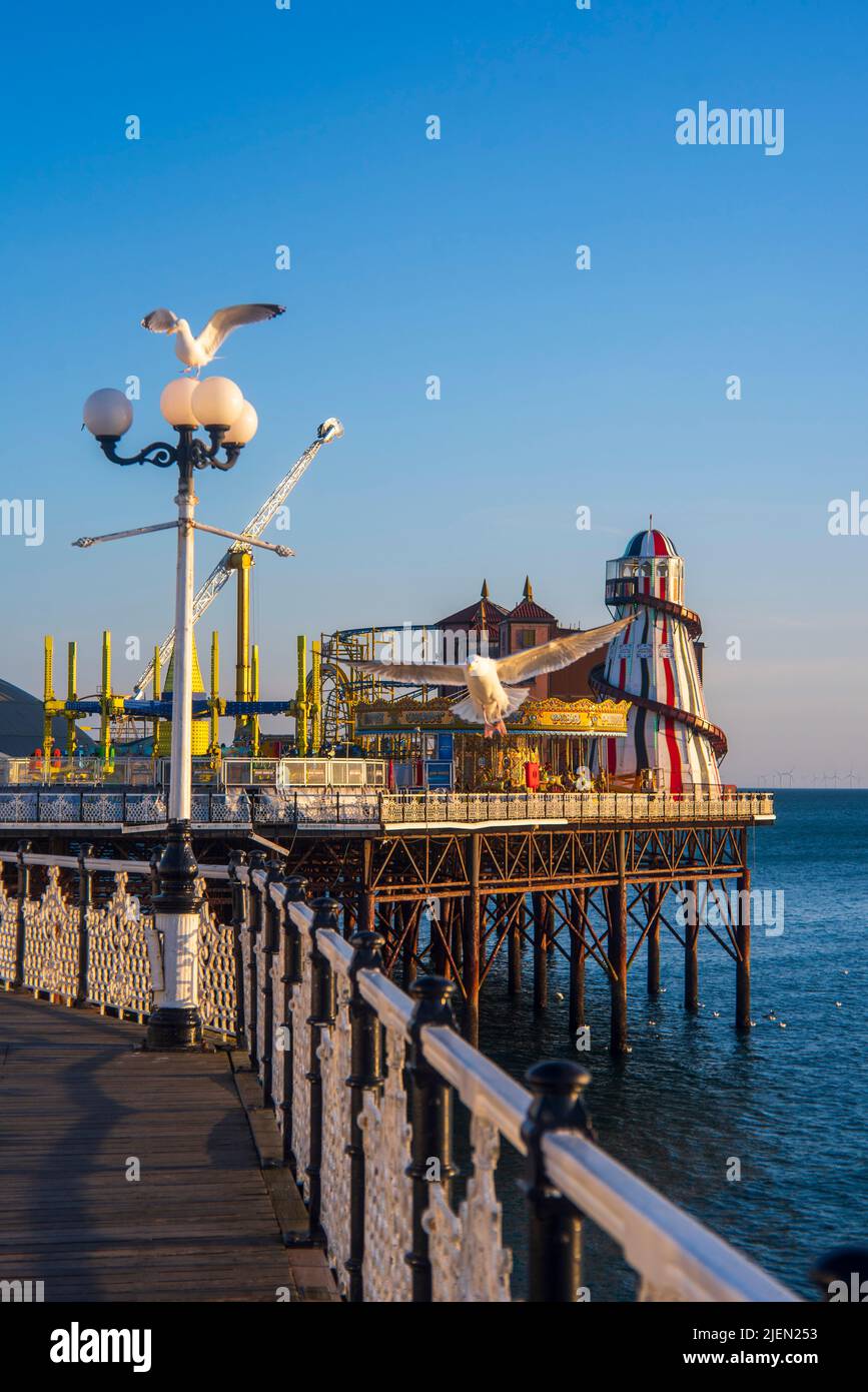 I gabbiani lottano per un lampione sul molo di Brighton. Foto Stock