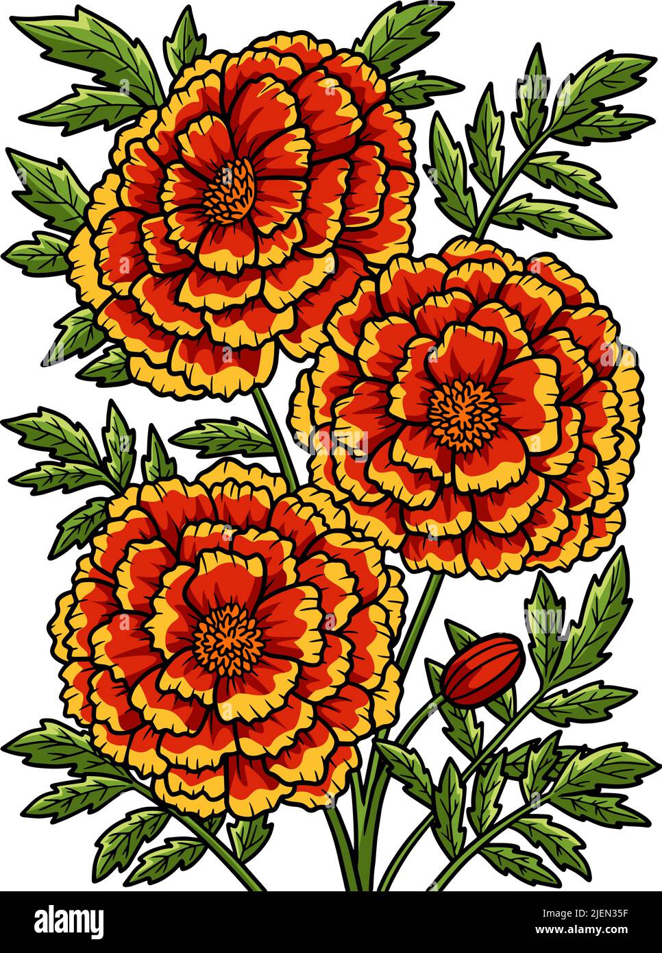 Cartone con fiori Marigold Coloured Clipart Illustrazione Vettoriale
