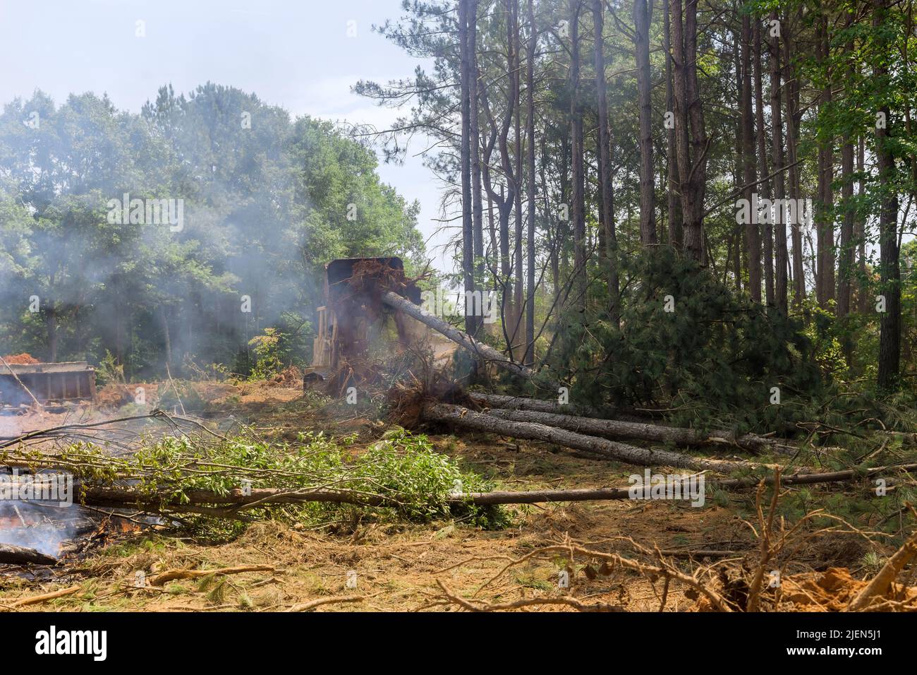 Per liberare il terreno per una suddivisione dell'alloggiamento, sono state utilizzate le minipale per trattori Foto Stock