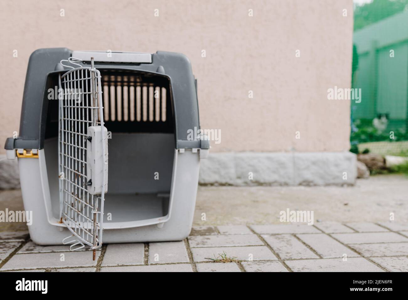 Scatola vuota con porta aperta per il trasporto di gatti su sfondo a parete Foto Stock